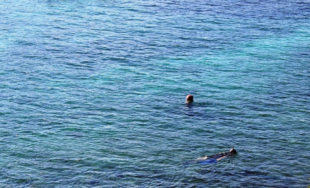 Playa Del Oro Ξενοδοχείο Favone Εξωτερικό φωτογραφία
