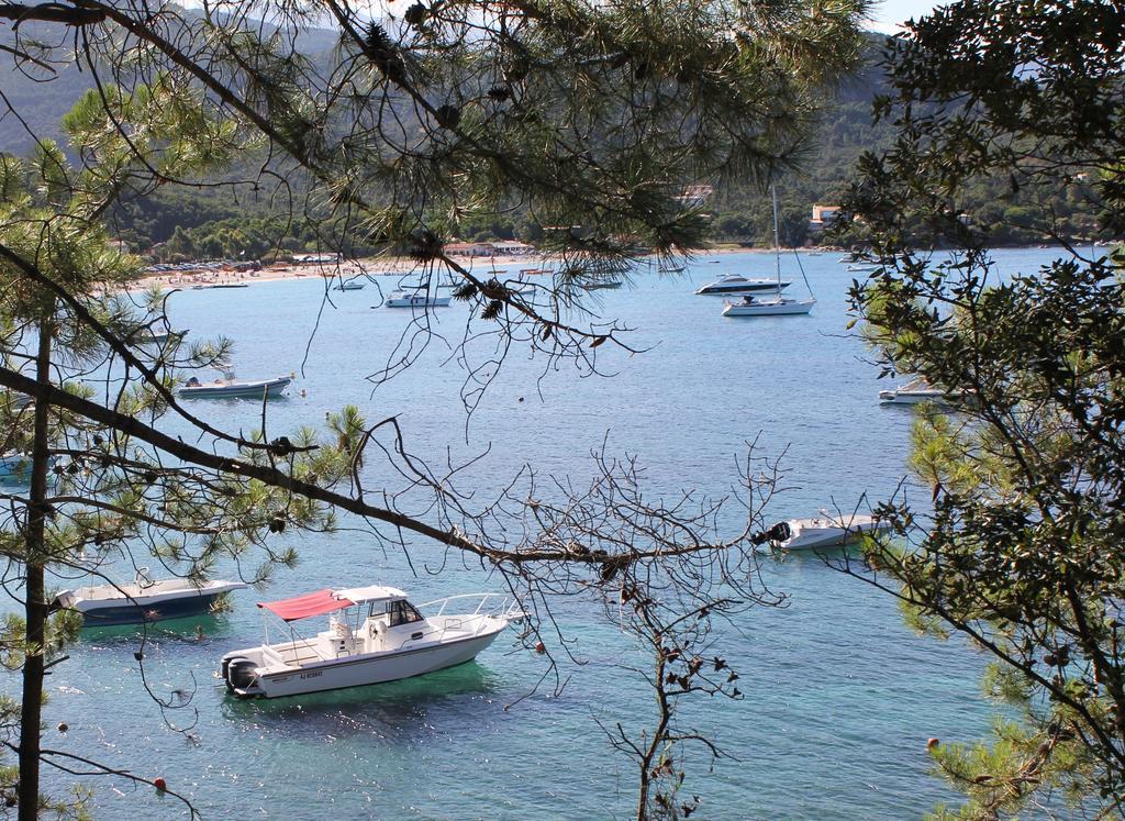 Playa Del Oro Ξενοδοχείο Favone Εξωτερικό φωτογραφία